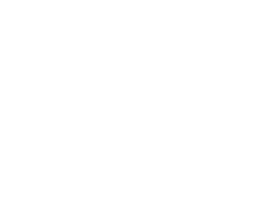 NISE Network Logo